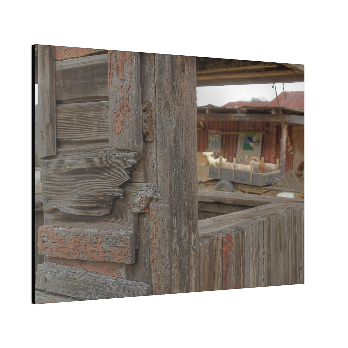 Weathered Old Shed - oil paint filter