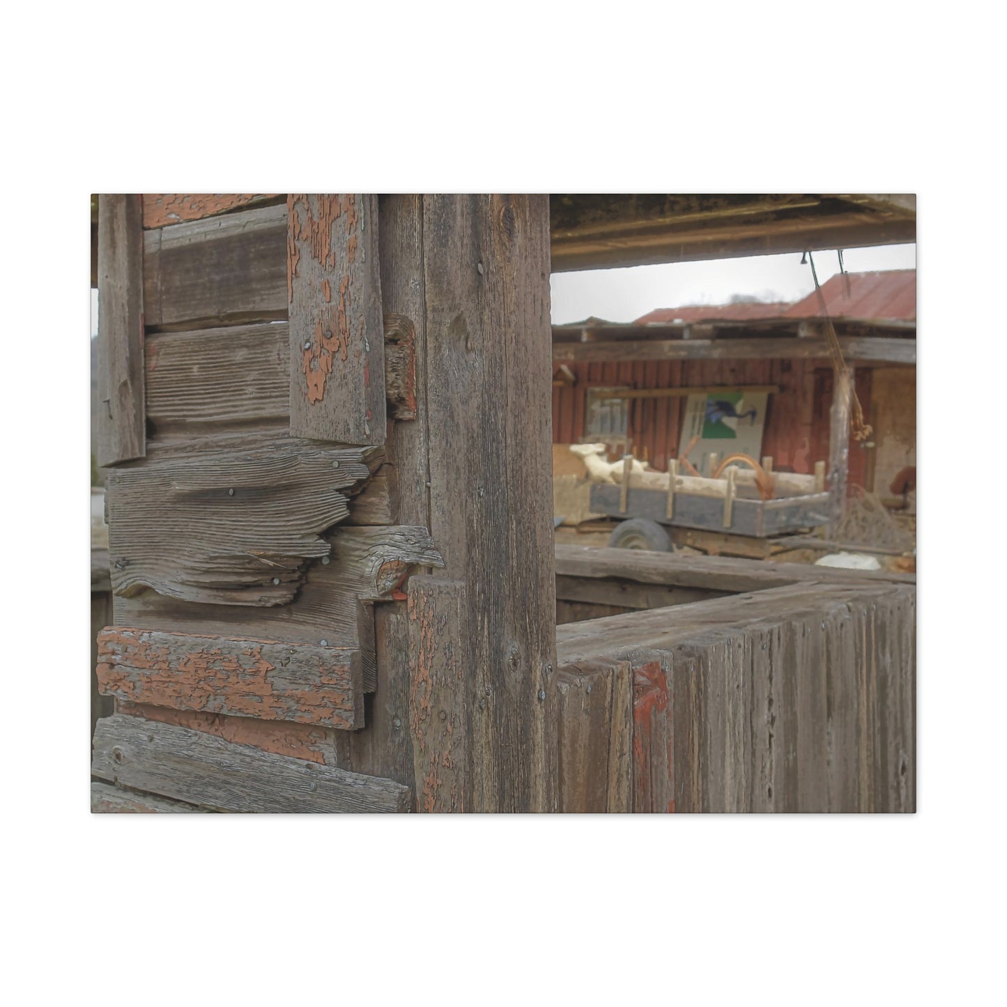Weathered Old Shed - oil paint filter