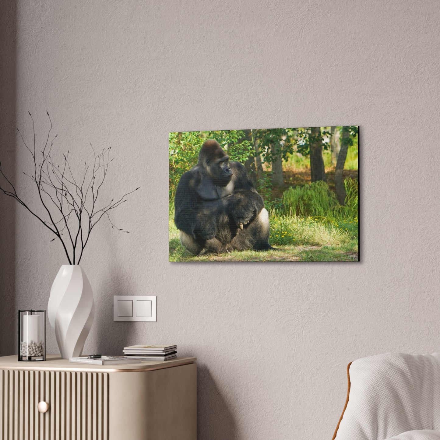 Silverback Gorilla at Bonita Springs Zoo