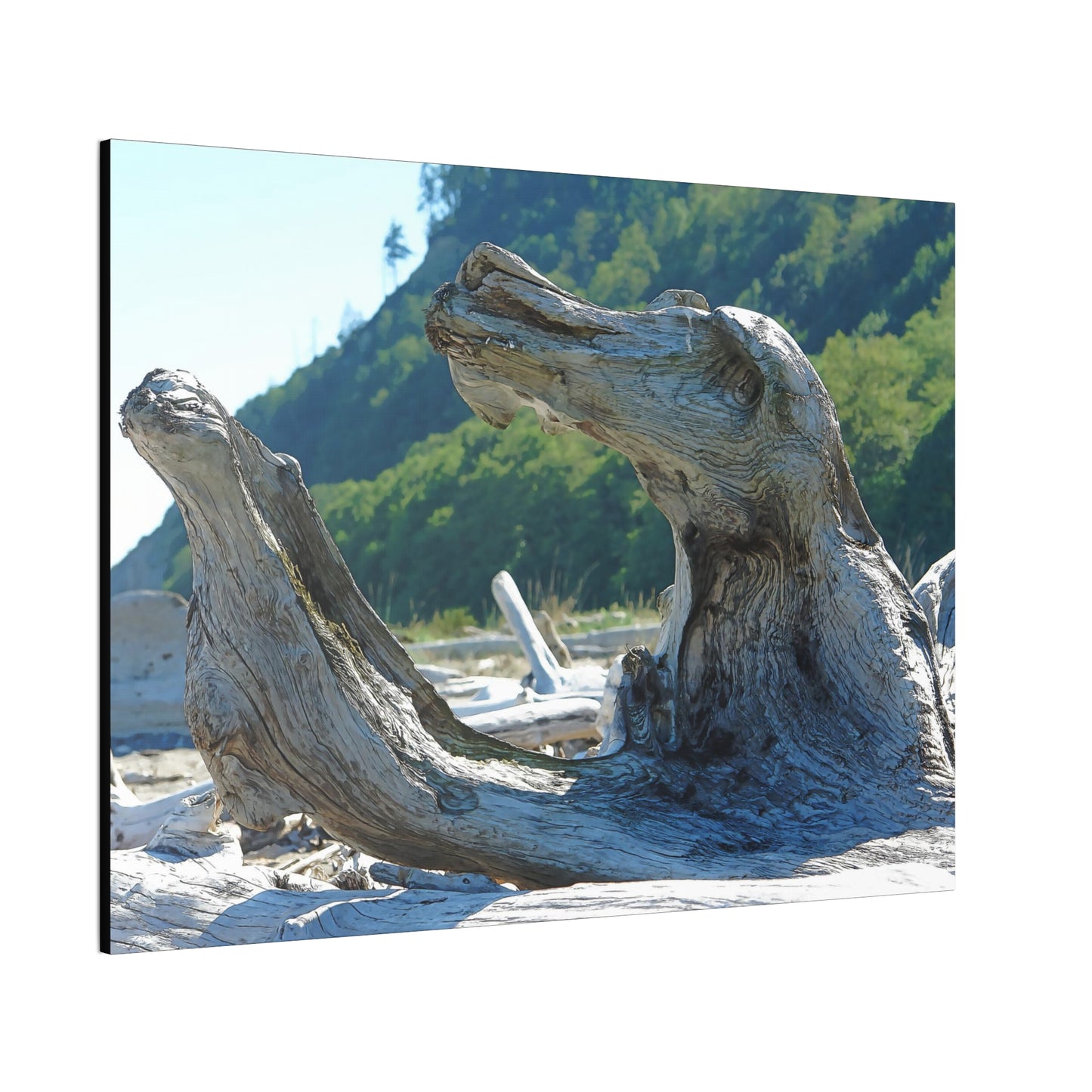 Lakeside Driftwood - oil paint filter