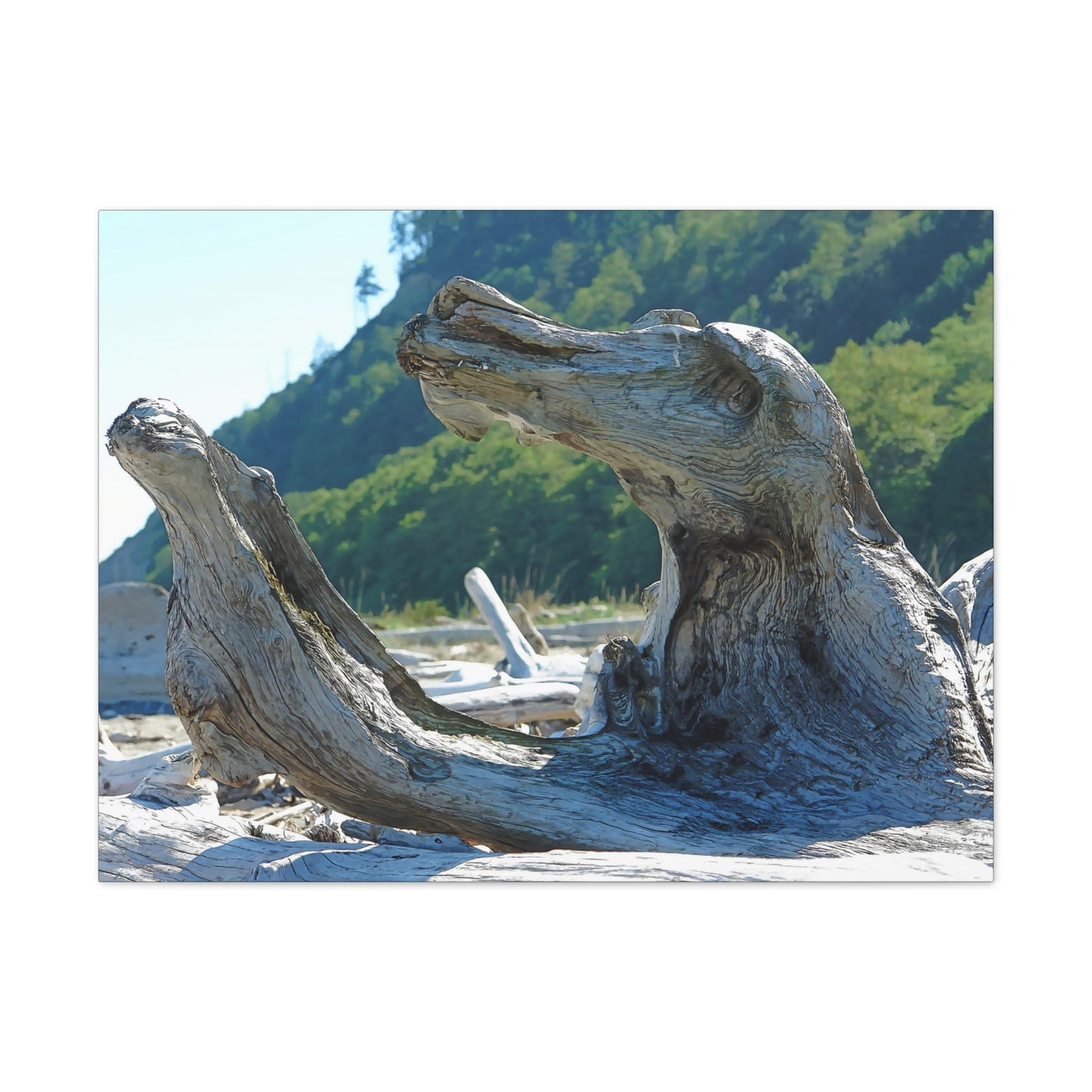 Lakeside Driftwood - oil paint filter
