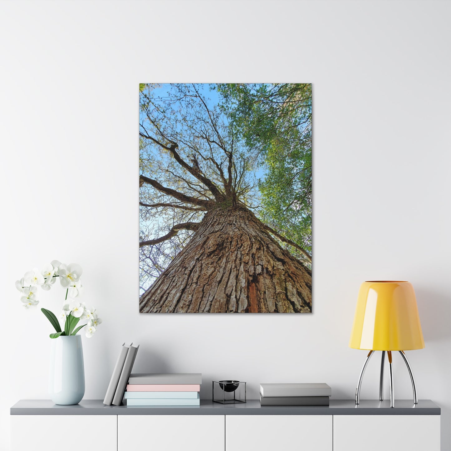 Early Spring Cypress - oil paint filter