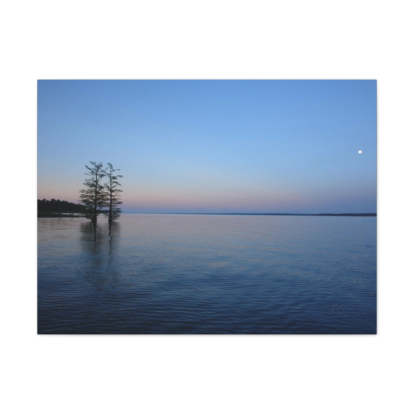 Last on the Lake