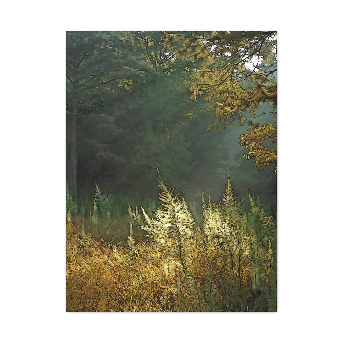 Sun Drenched Meadow - oil paint filter