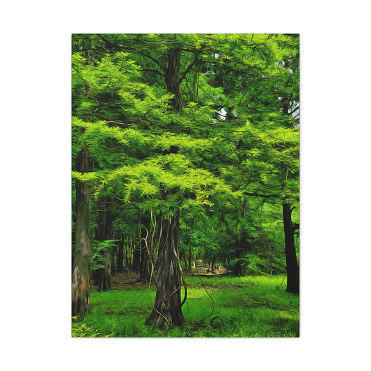 Spring Green Cypress - oil paint filter