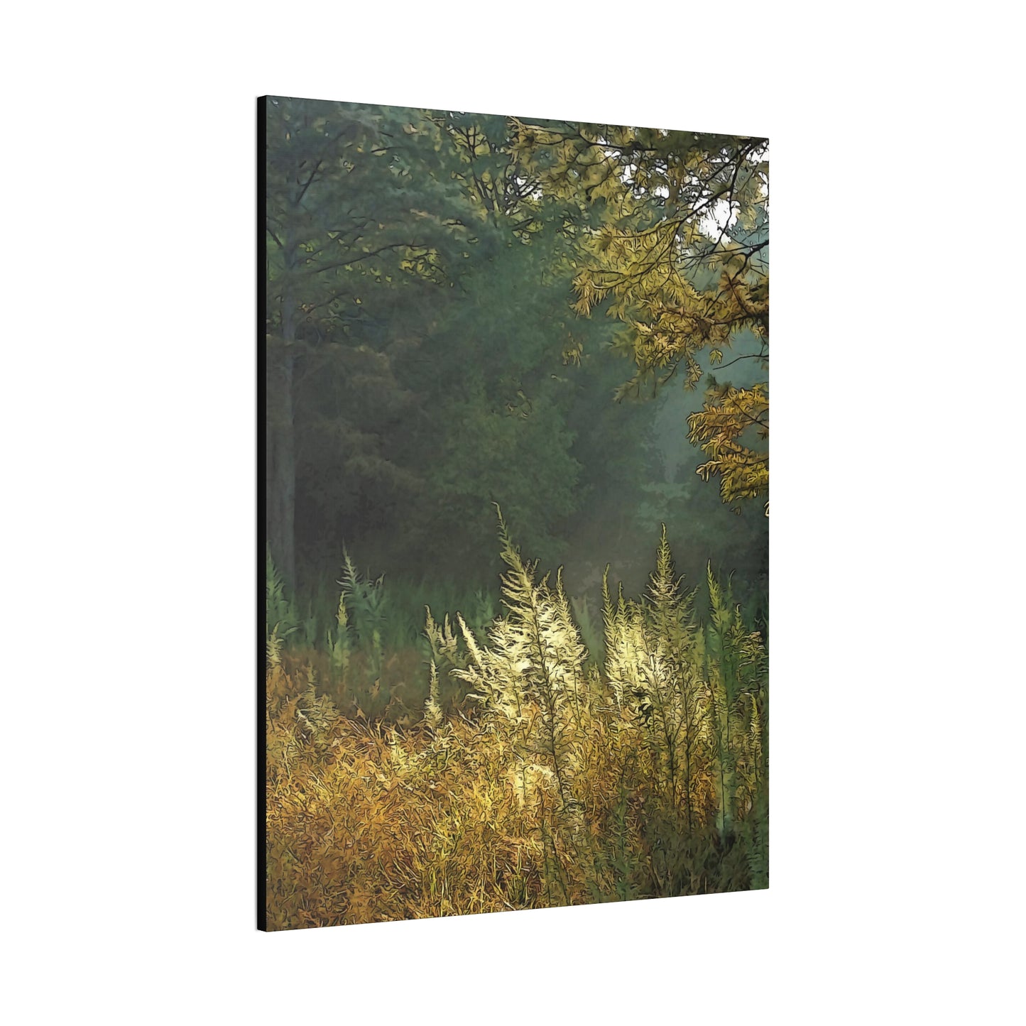 Sun Drenched Meadow - oil paint filter