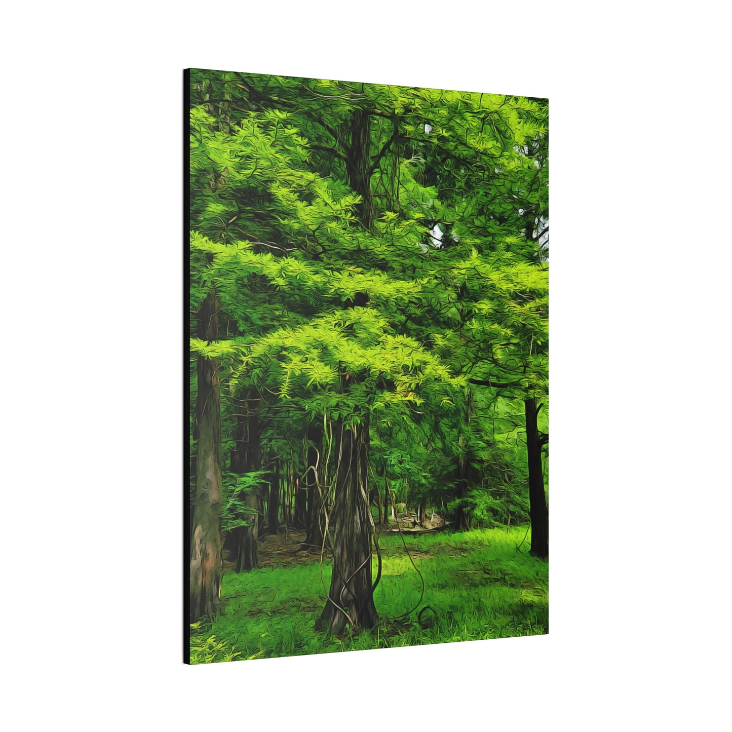 Spring Green Cypress - oil paint filter